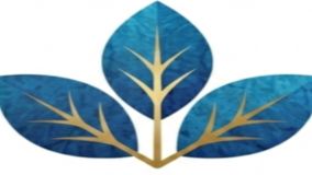 Herbist Holistic Healing